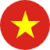 Vietnamese (Vi)